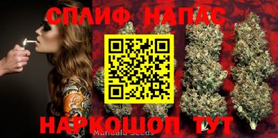 стафф Кулебаки