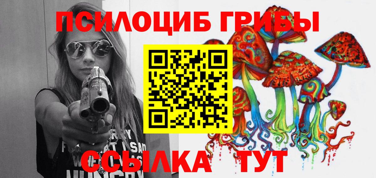 Галлюциногенные грибы MAGIC MUSHROOMS Кольчугино