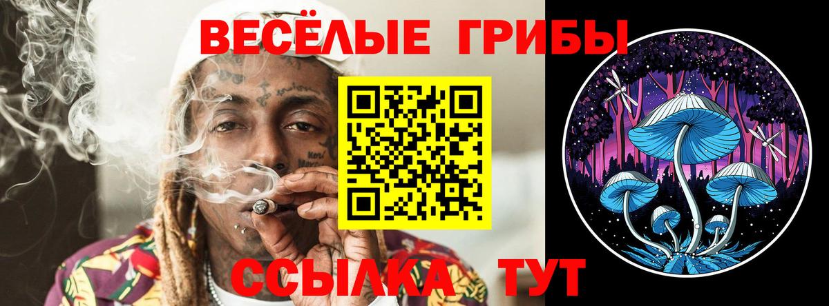 ГАШИШ  Марихуана  ГАШИШ  Магазины продажи наркотиков  Кольчугино  МЕФ  А ПВП СОЛЬ   Вход с VPN  Меф МЯУ МЯУ  