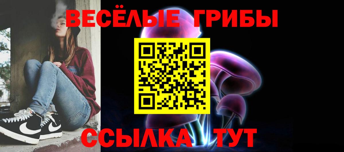 Кольчугино  Галлюциногенные грибы Psilocybine cubensis  Галлюциногенные грибы Psilocybe  Вход с VPN 