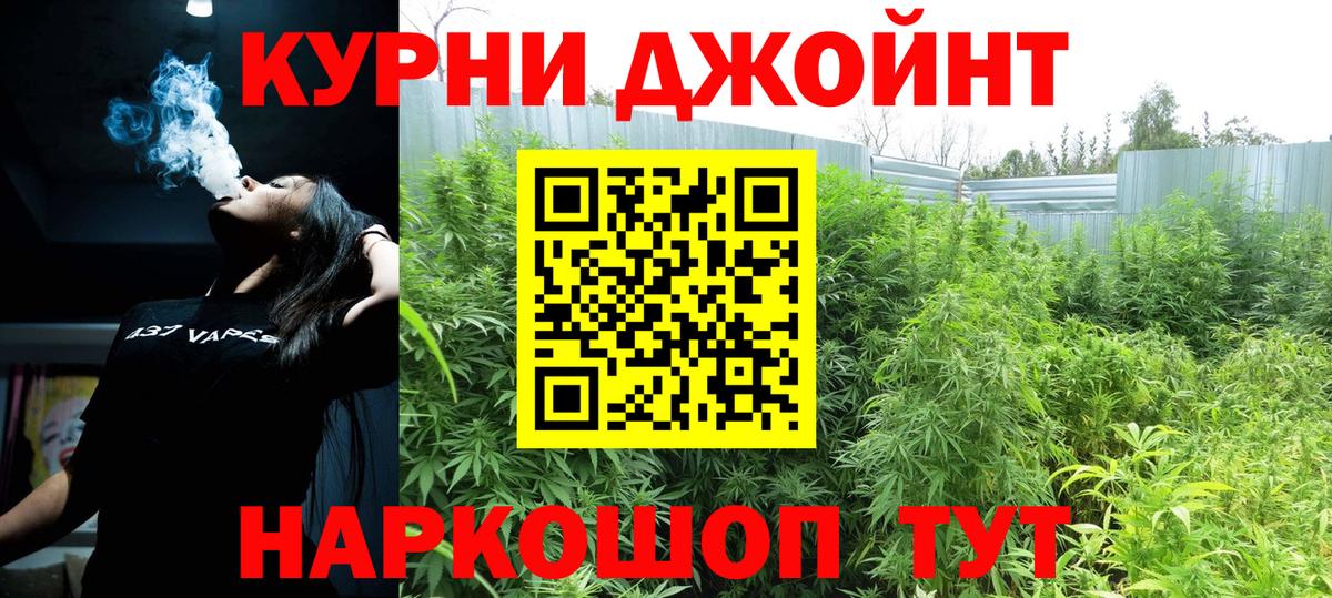 Канабис семена Кольчугино